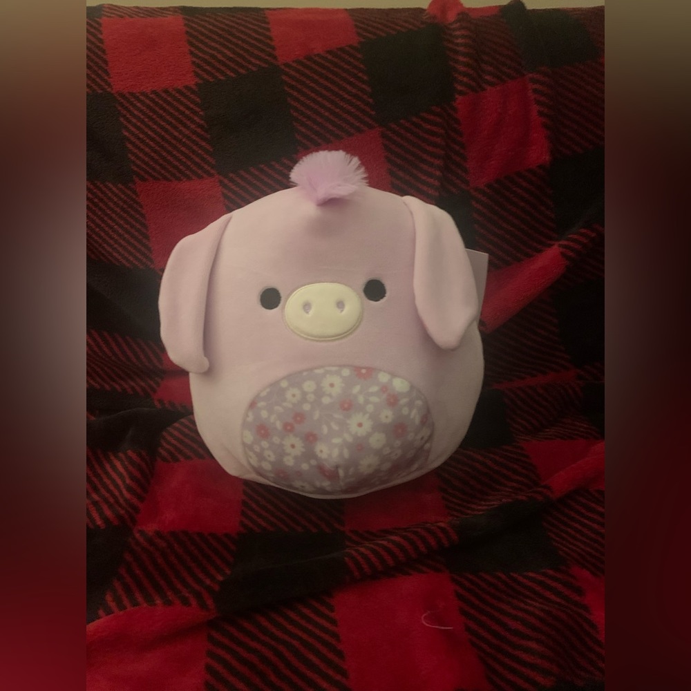 🖤🦋8 inch Delzi squishmallow